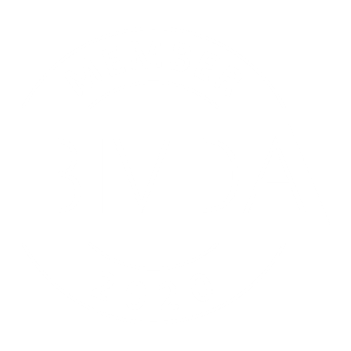 BIVDA Member Logo